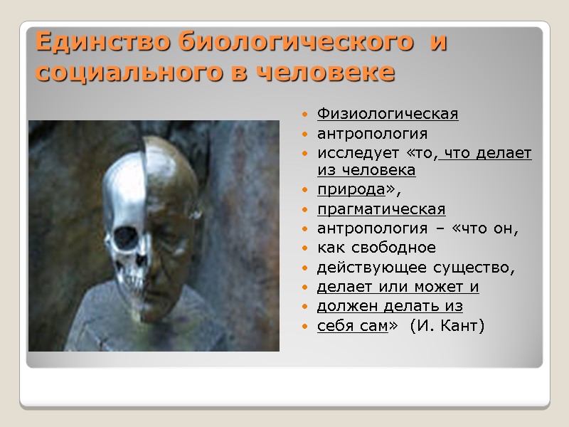 Единство биологического  и  социального в человеке Физиологическая  антропология  исследует «то,